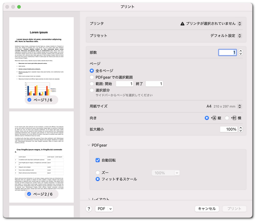 印刷ページのオプションを設定