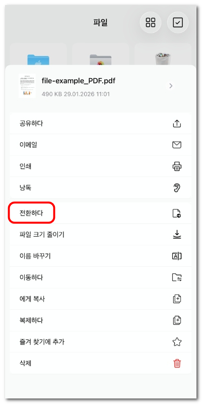 PDF 변환 옵션 선택