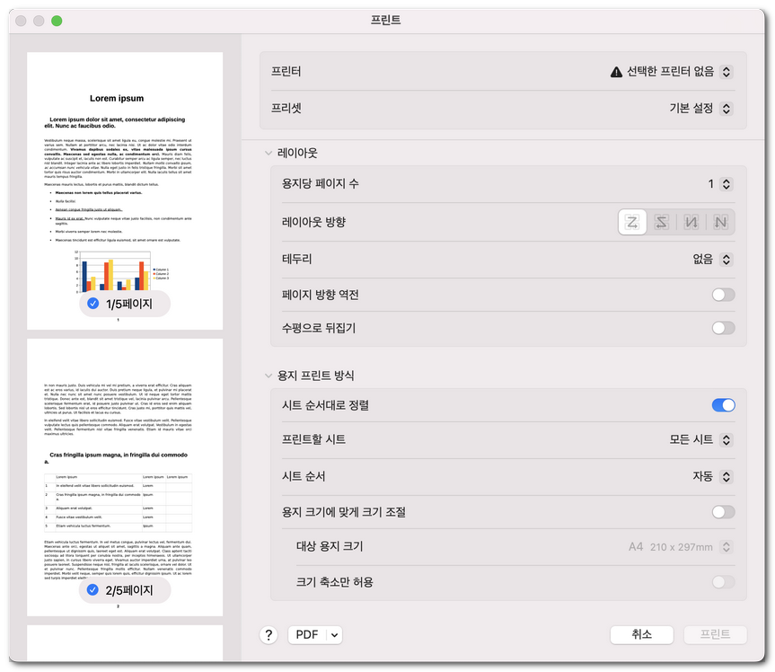 인쇄 레이아웃 옵션 설정