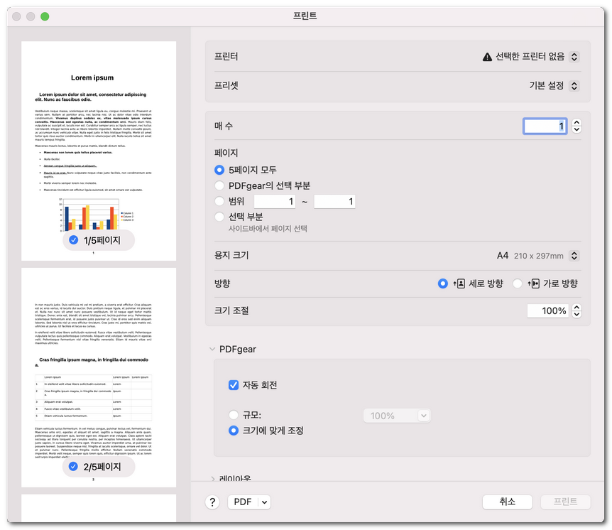 인쇄 페이지 옵션 설정