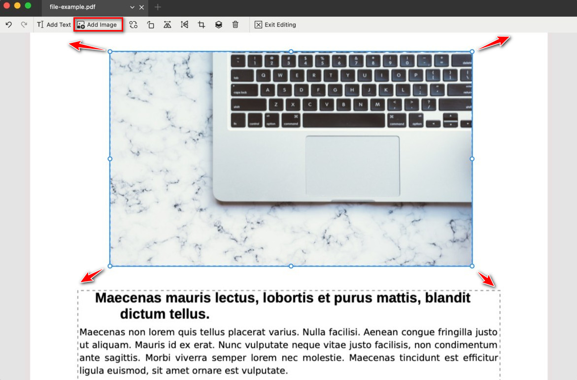 Add an Image to PDF