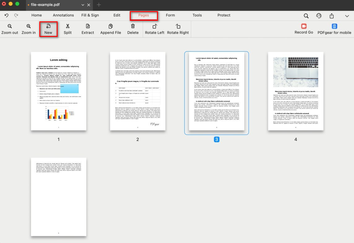 Choose Where to Add a Blank PDF Page
