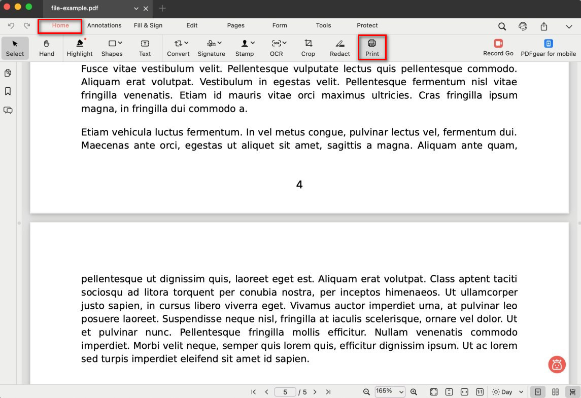 Click on the Printer Icon