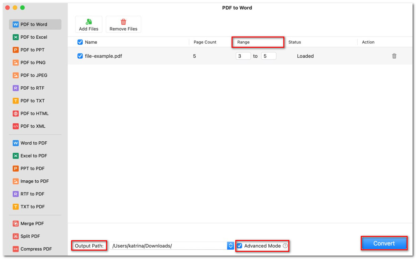 Convert a PDF to Word Format