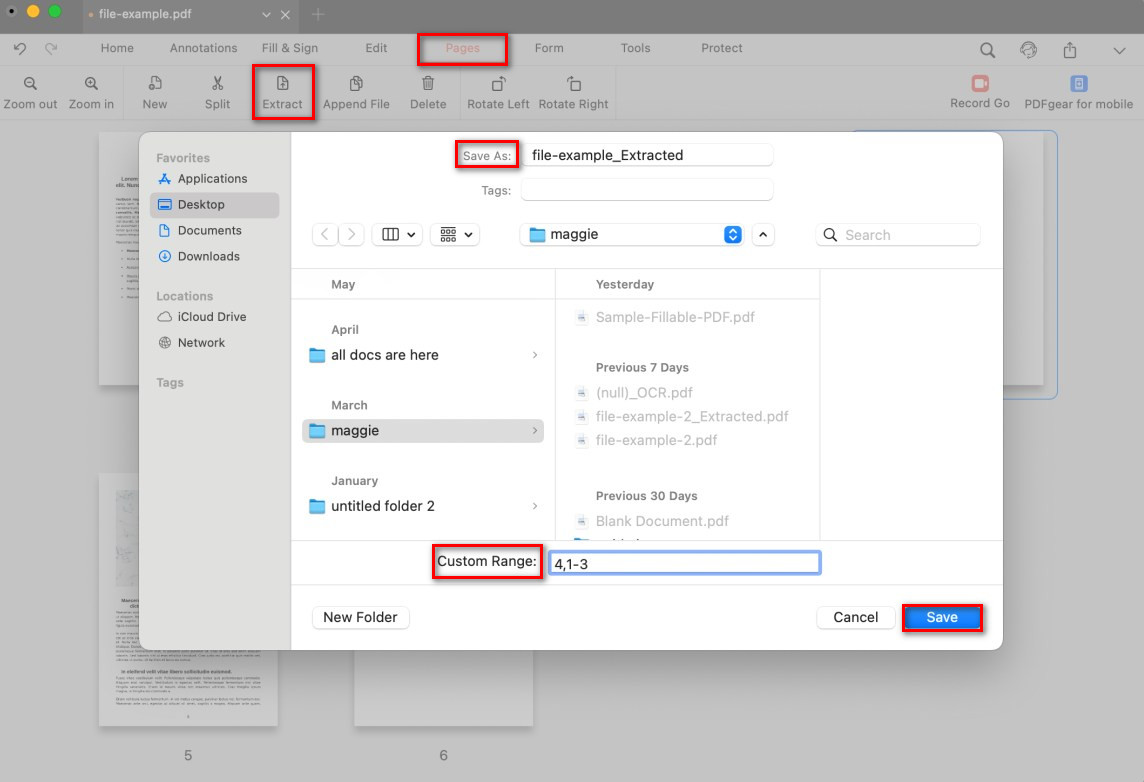 Customize Extracted PDF Pages