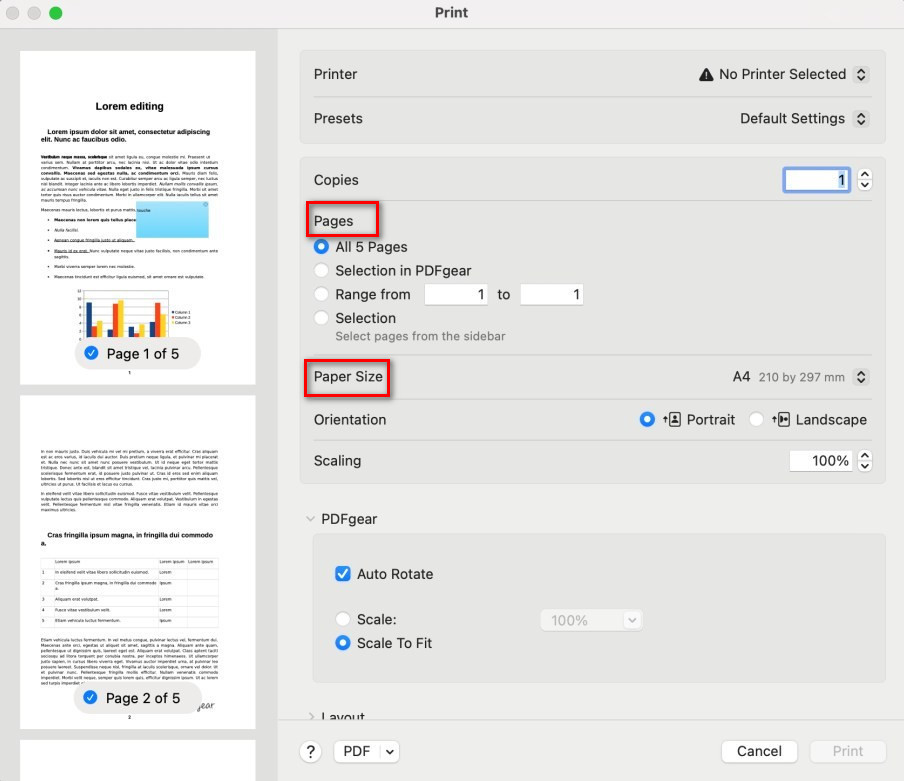 Page and Paper Settings