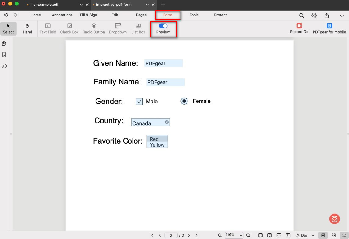 Preview and Test the PDF Form