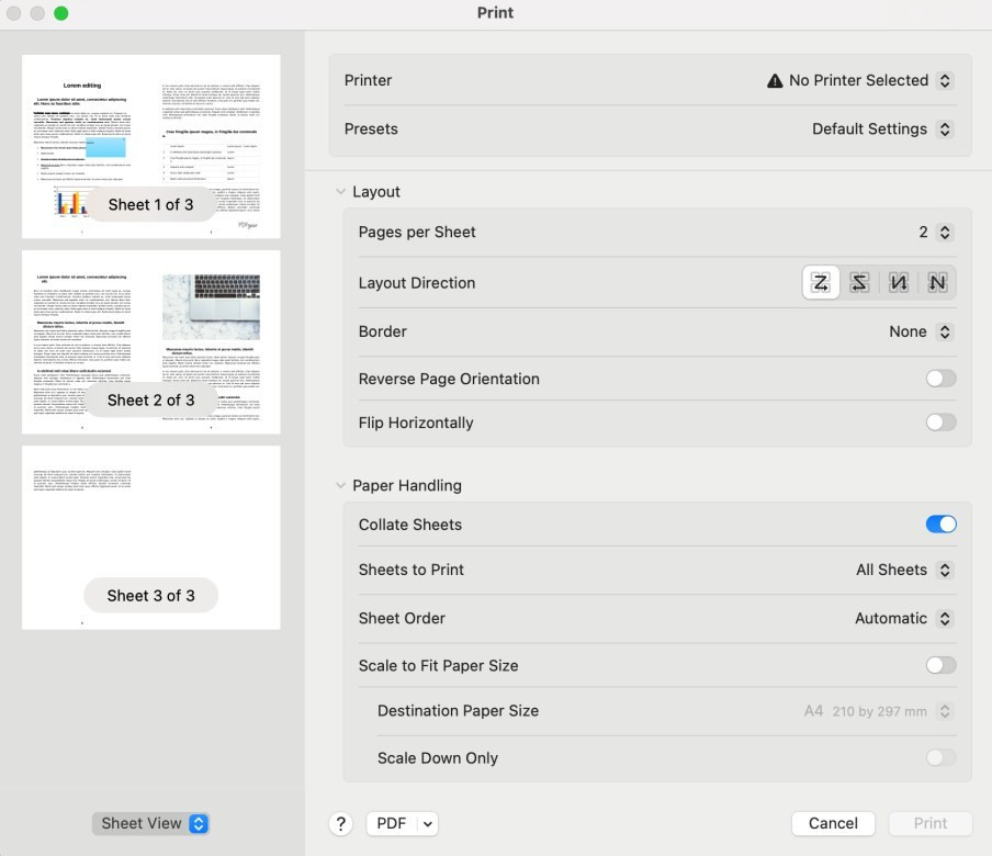 Set Print Layout Options
