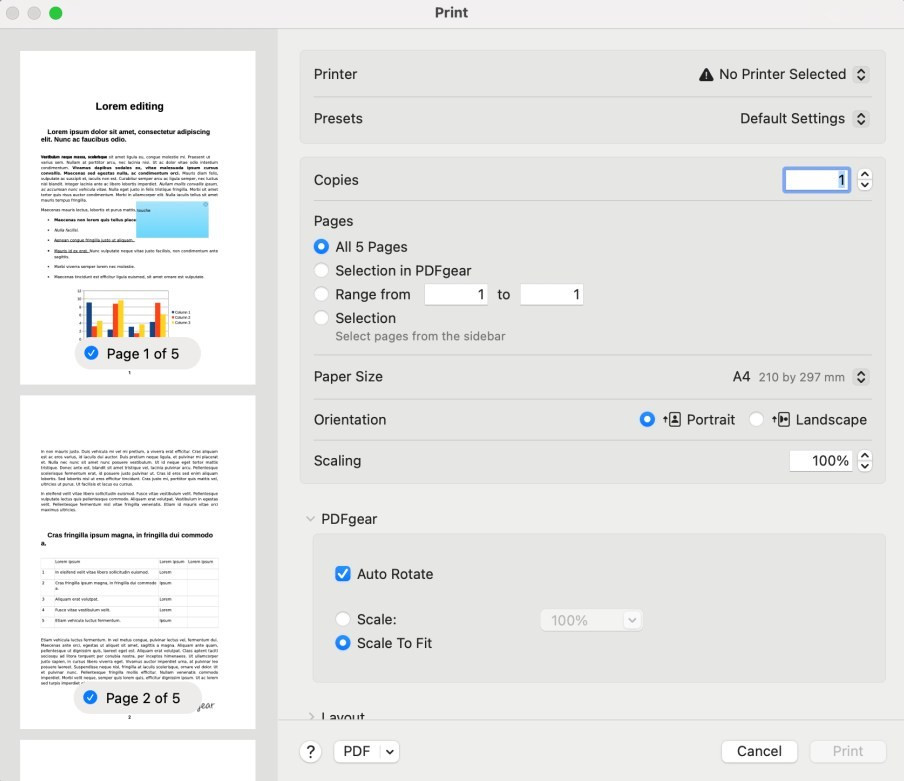 Set Print Page Options