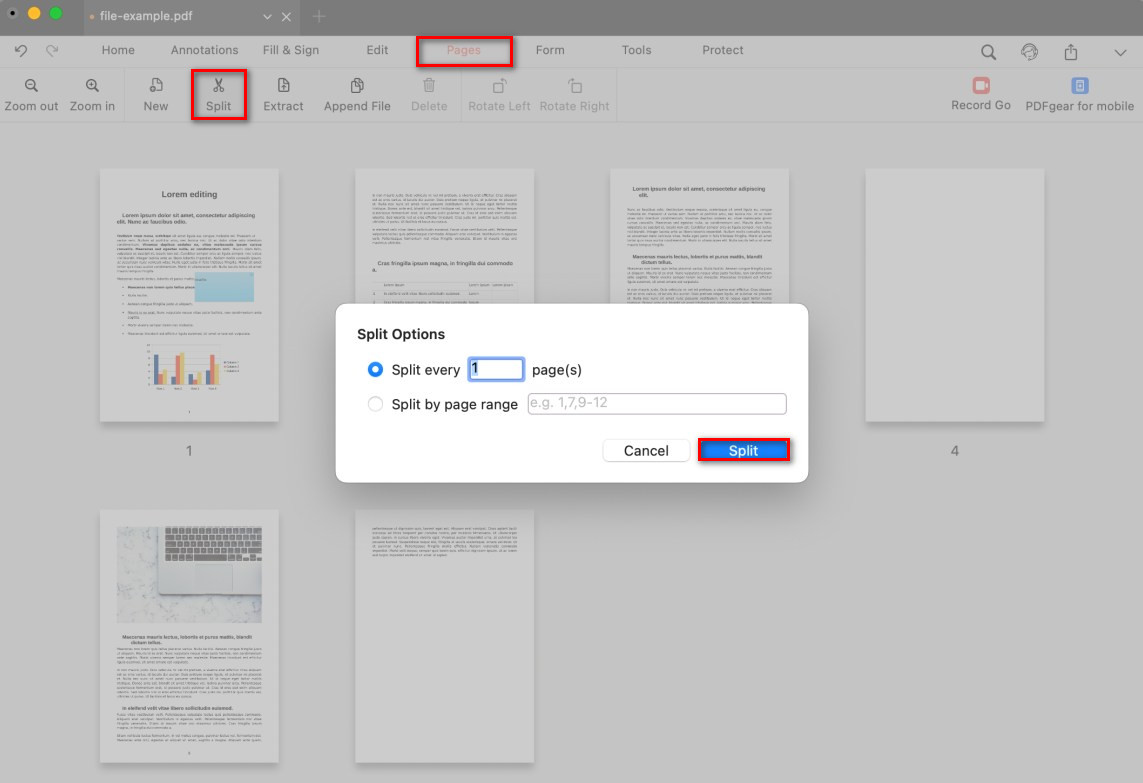 Split PDF Pages