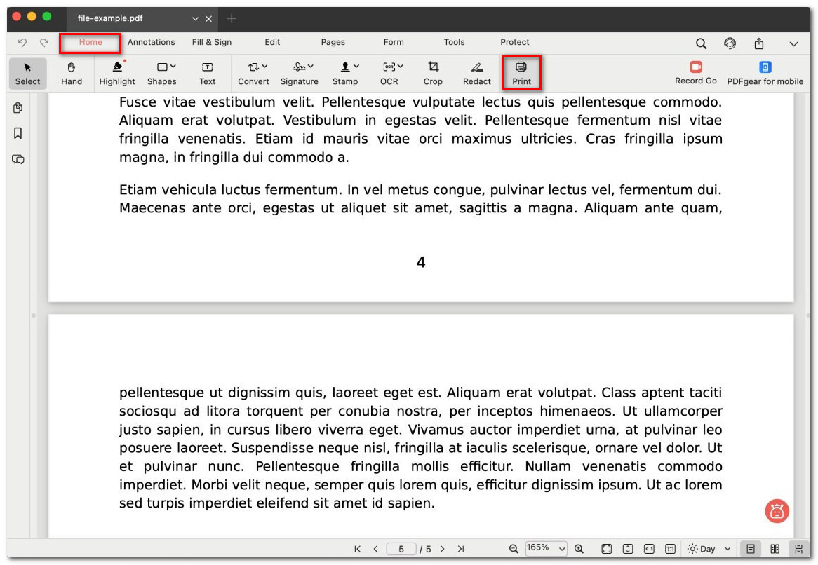 Click on the Printer Icon
