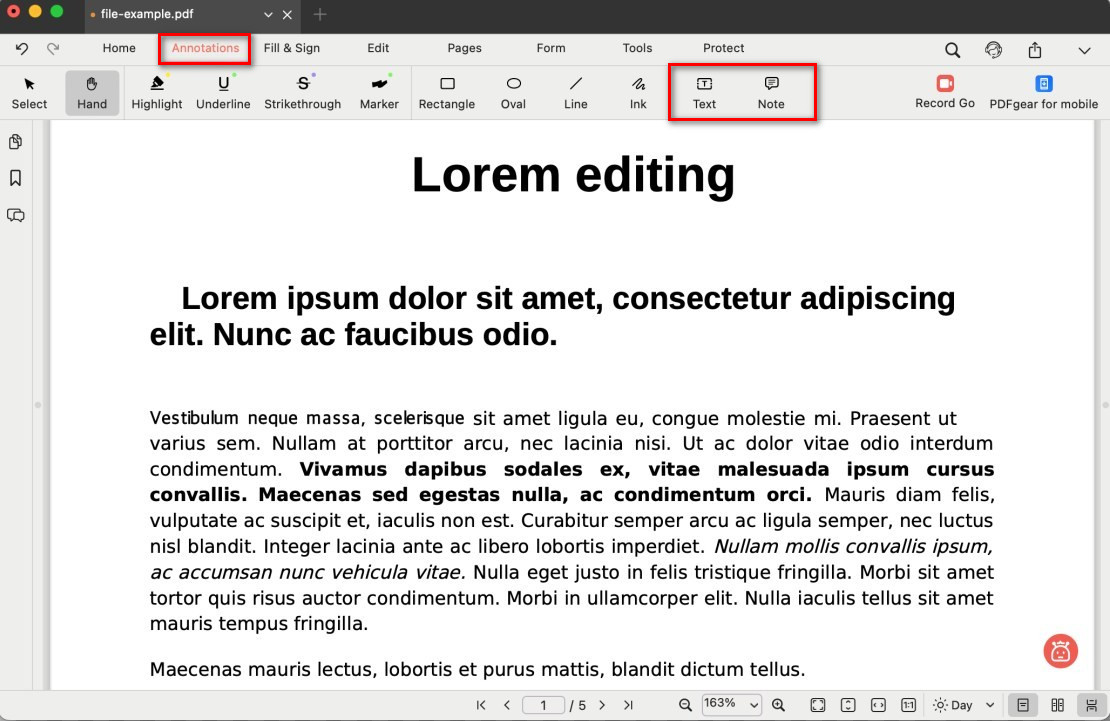 Text or Note Comment Options