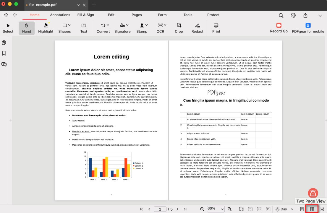 Two Page View Mode