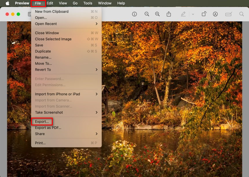 Choose to Export HEIC Image