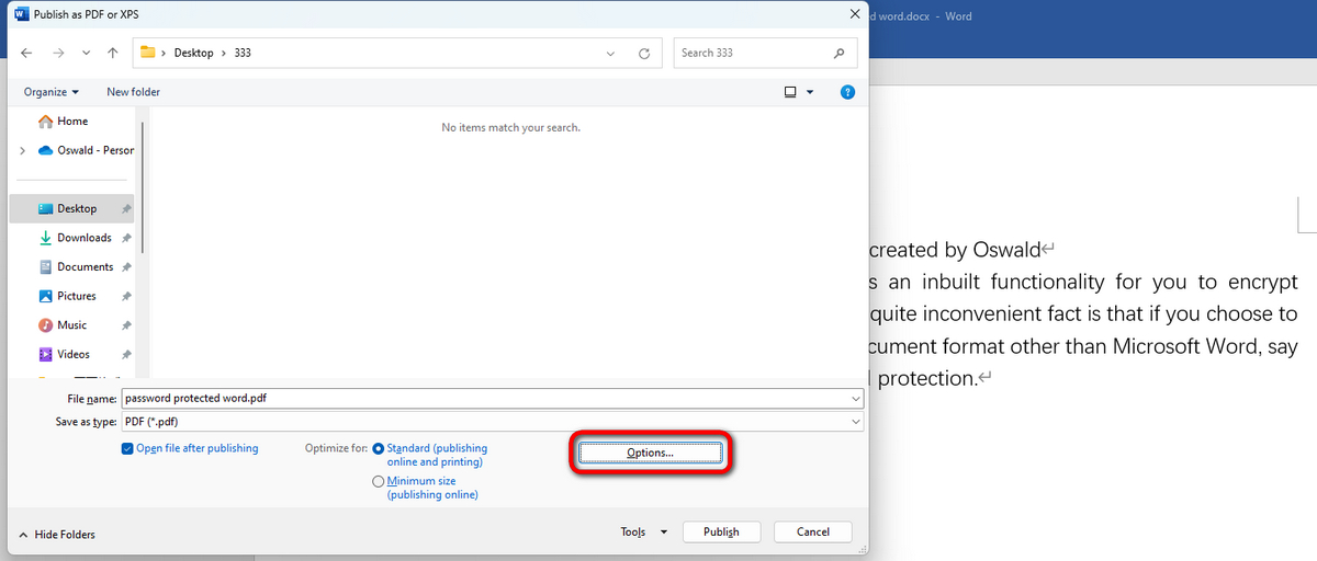Click Options in Publish Window
