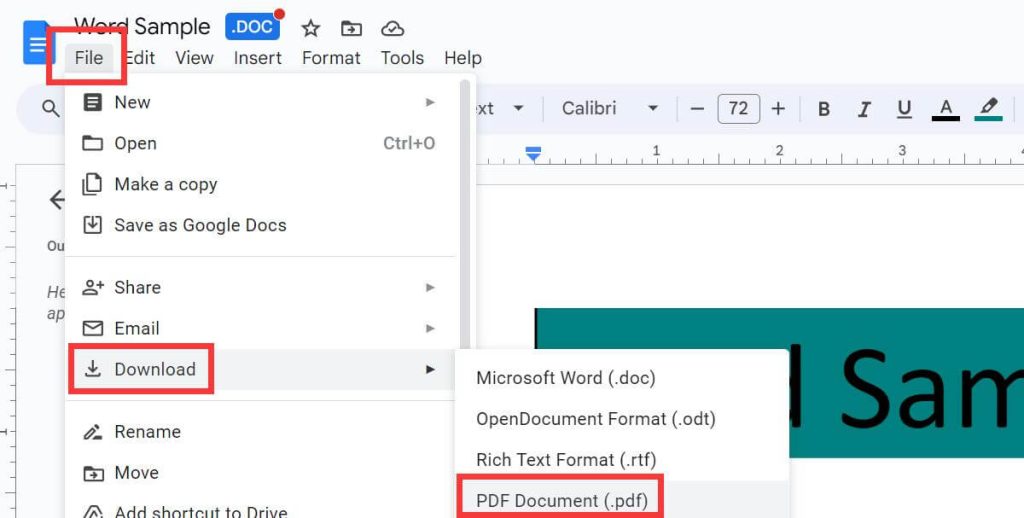 Download Word in PDF Format
