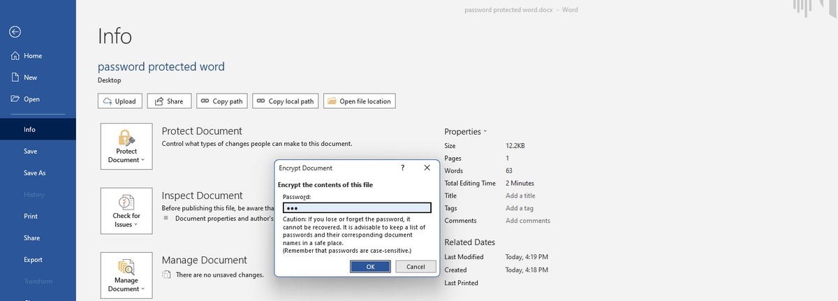 Enter Password for Word
