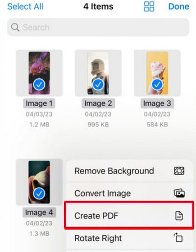 Now Click on Create PDF Option