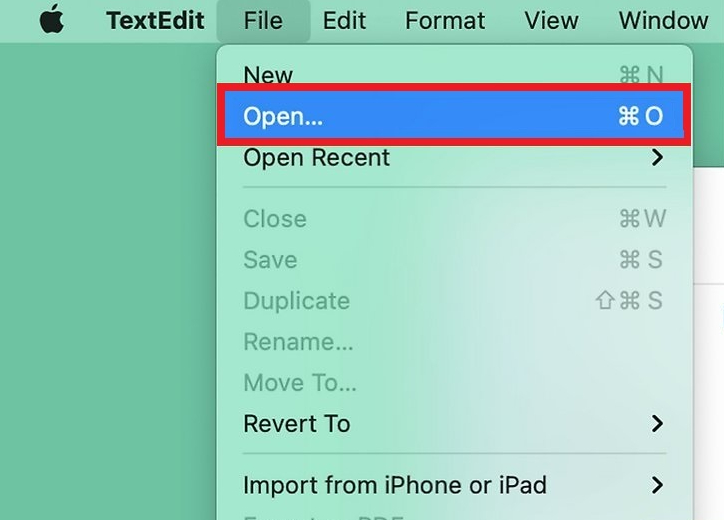 Open TXT