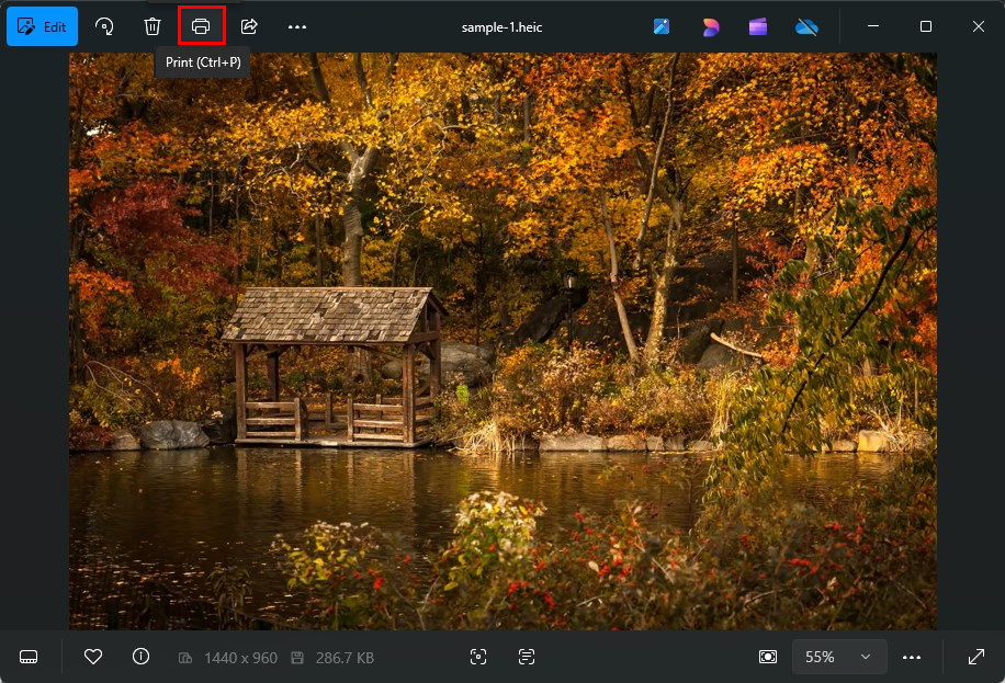Click the Print Icon