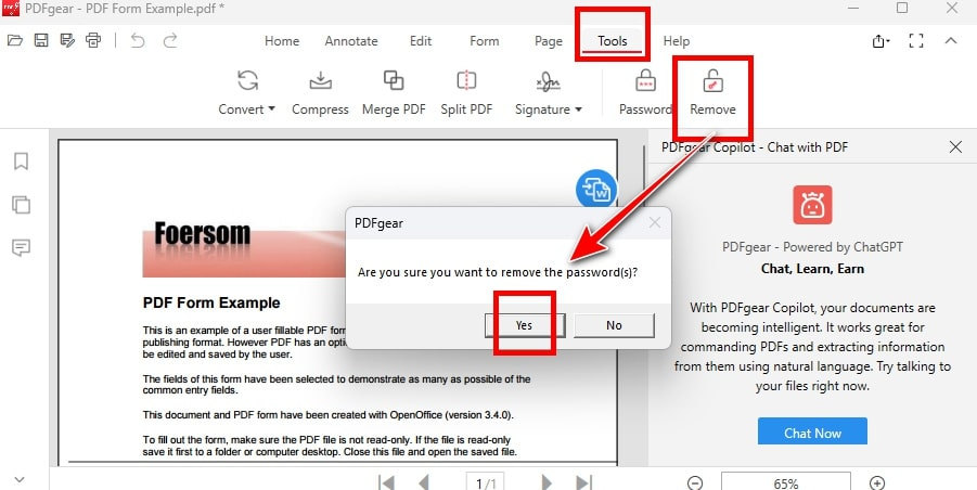 Select Yes to Remove Password for the PDF File