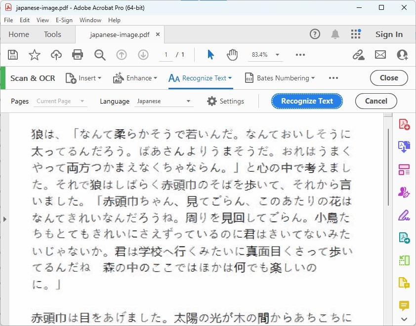 Adobe Acrobat OCR Japanese Text