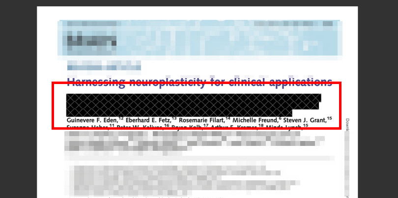 Redact the Text in the PDF