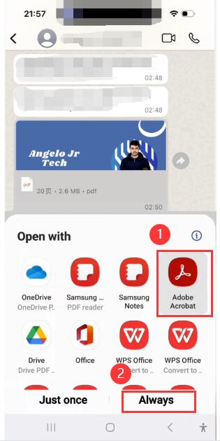Change Default PDF Viewer in Whatsapp for Samsung