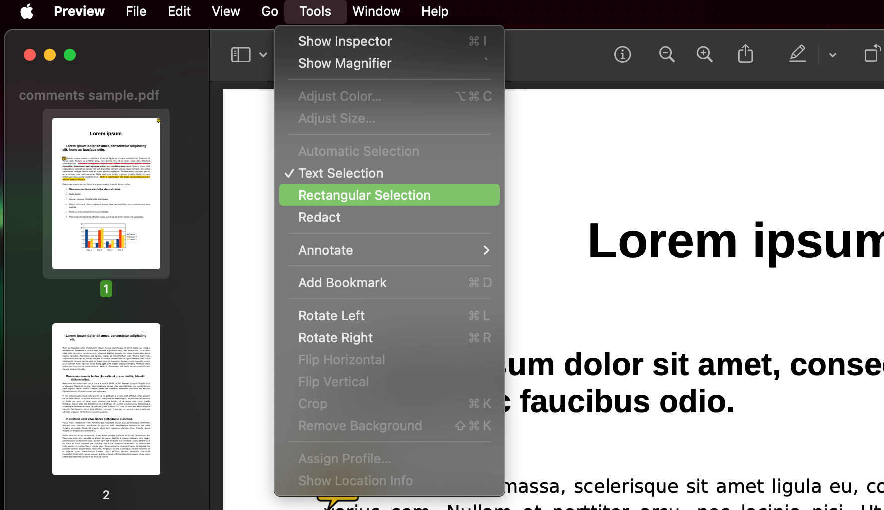 Choose Rectangular Selection in Preview