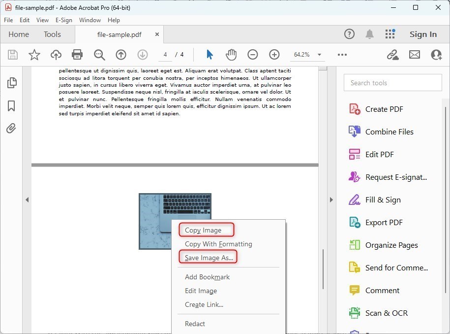 Copy and Export PDF Images with Adobe Acrobat