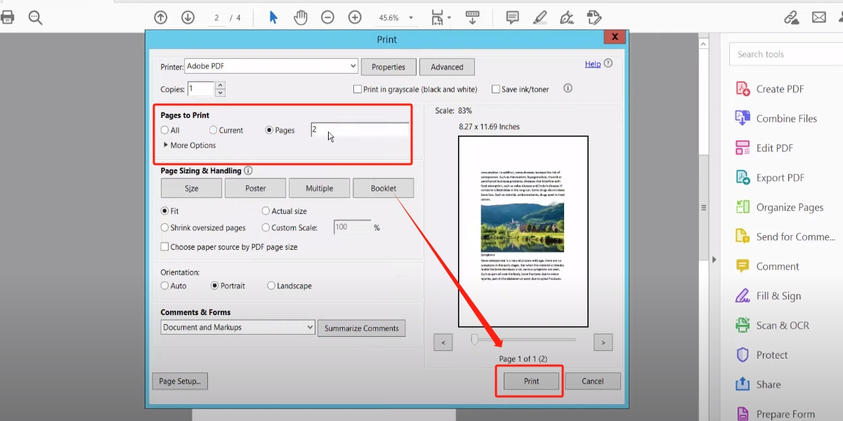 Select Print Page