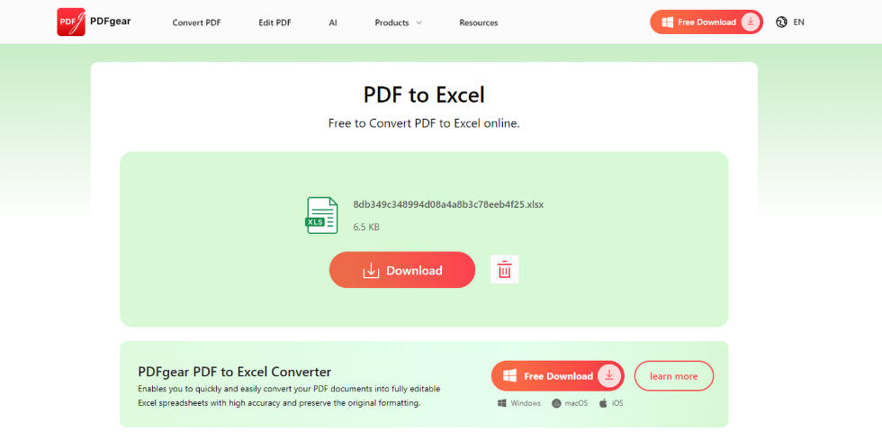 Download the Converted Excel