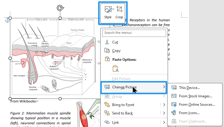Edit Image in PDF Using Word