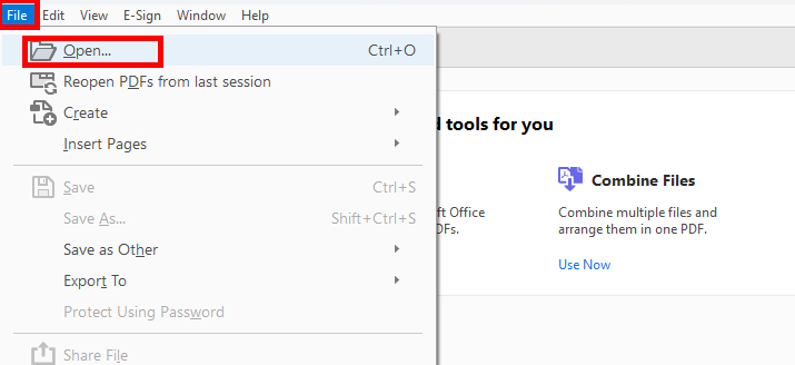 Open PDF Document in Adobe Acrobat