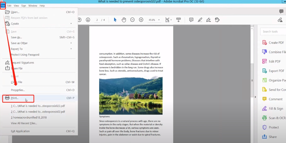 Open and Print PDF in Adobe Acrobat Pro