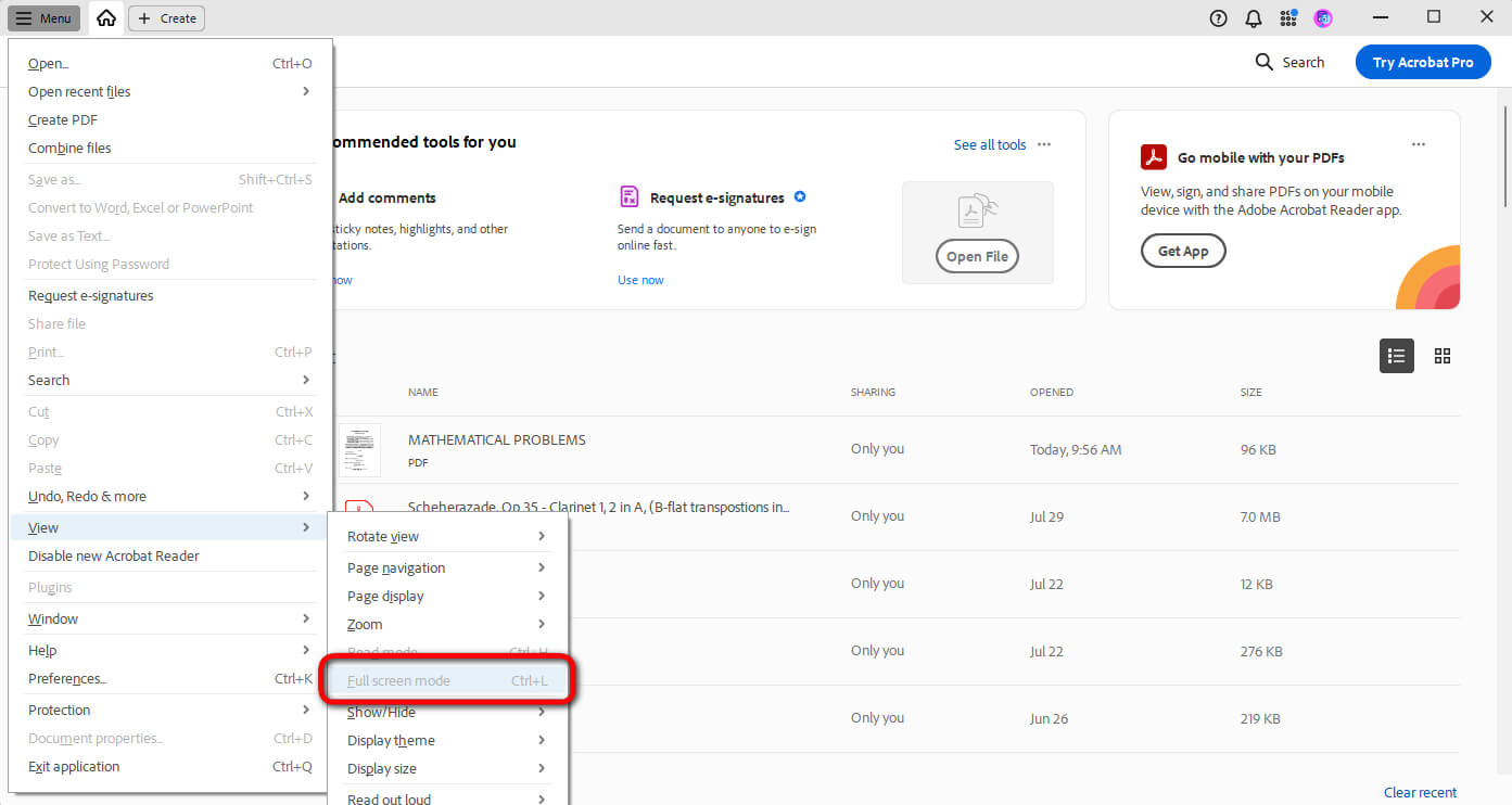 Full Screen Greyed Out