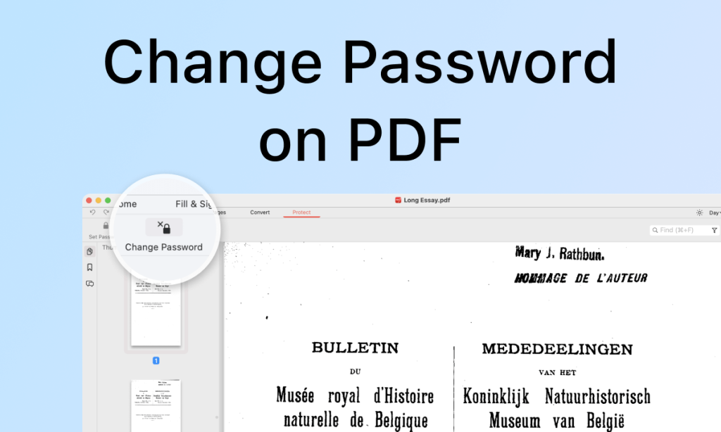 Change Password on PDF