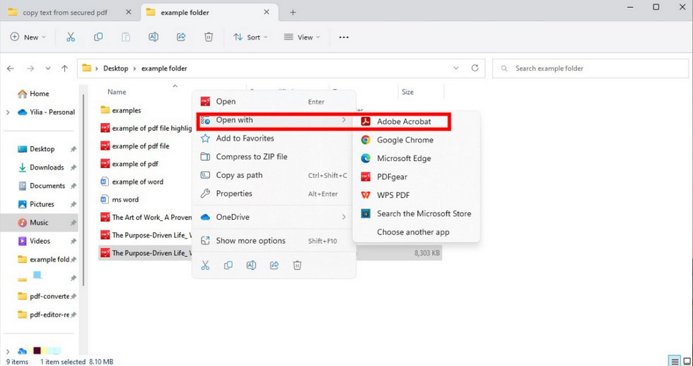 Open a PDF in Adobe Acrobat Reader