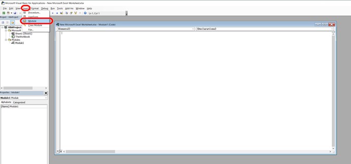 Insert a VBA Module