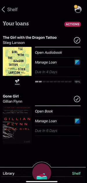 Libby the EPUB reader for iPhone