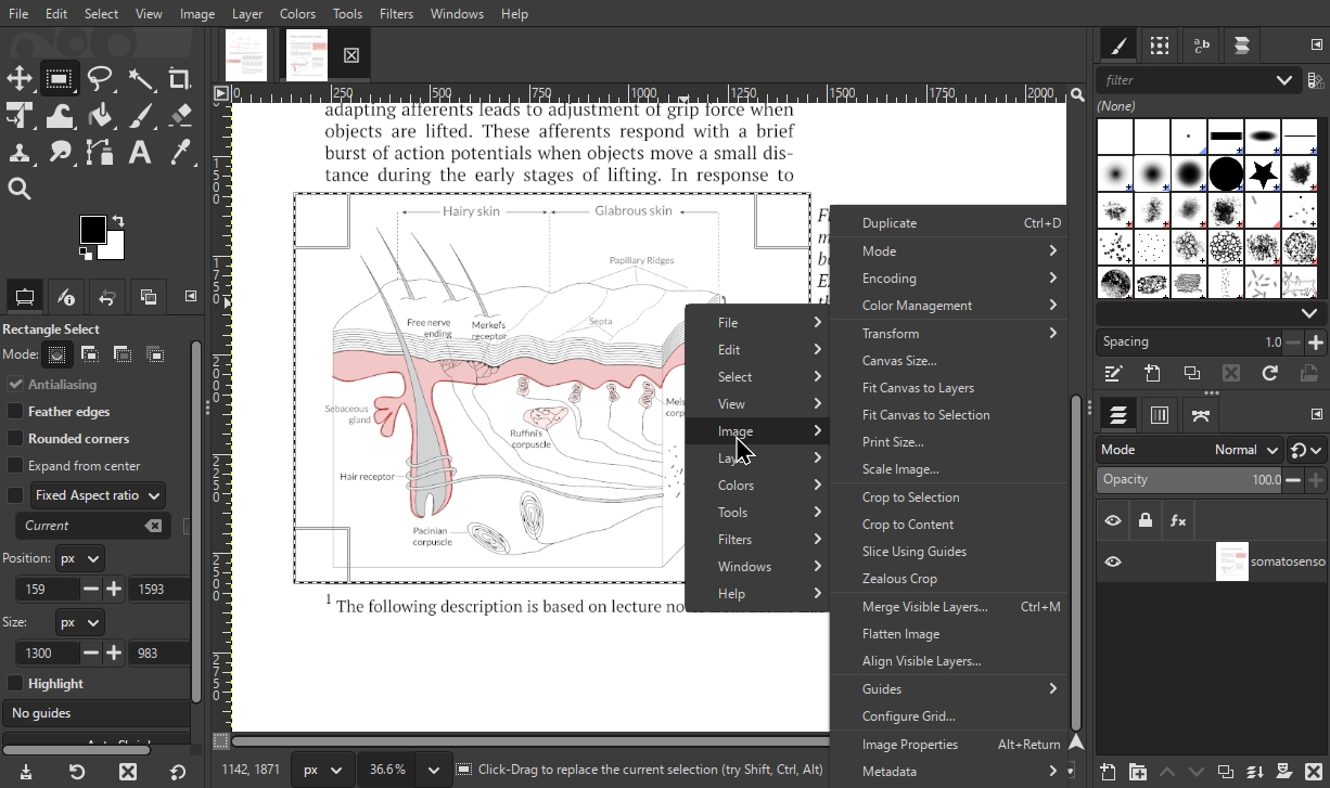 Edit Image in PDF Using GIMP