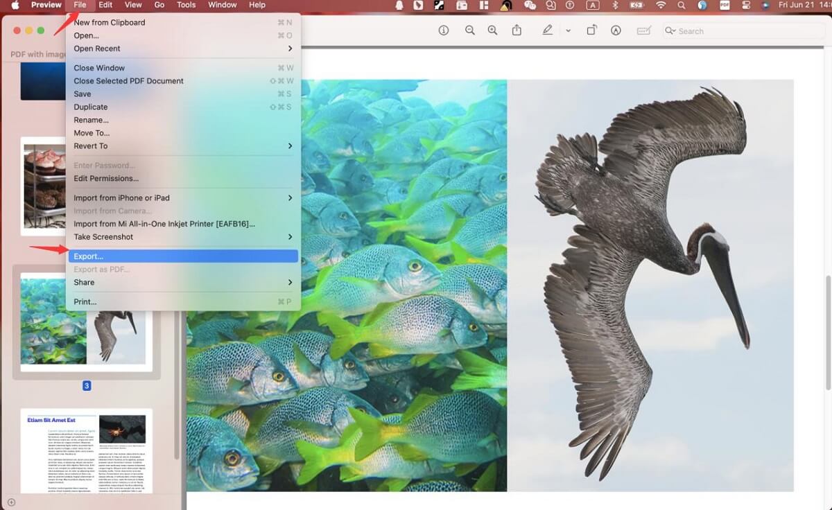 Navigation to Export an Image in Preview