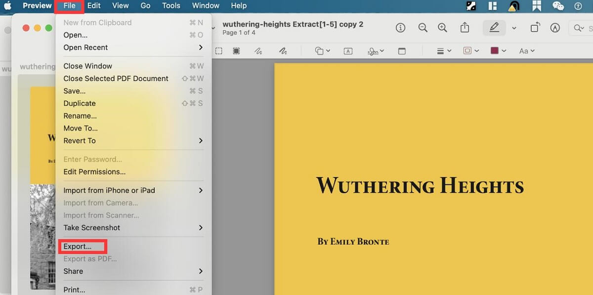 Open a PDF File with Preview