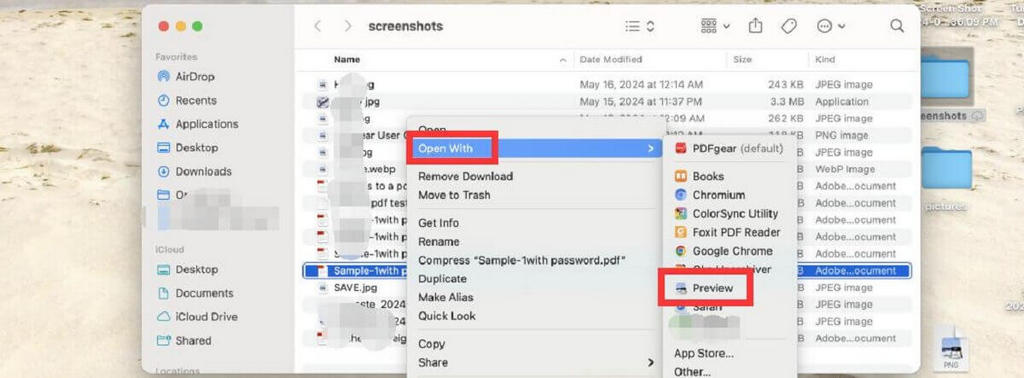 Open a PDF with Preview