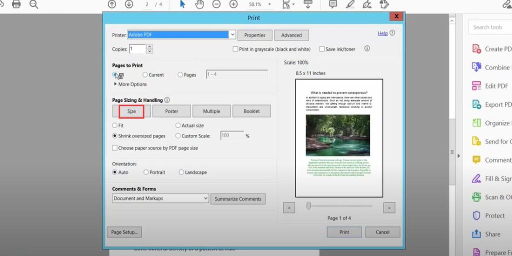 Set Page Size 