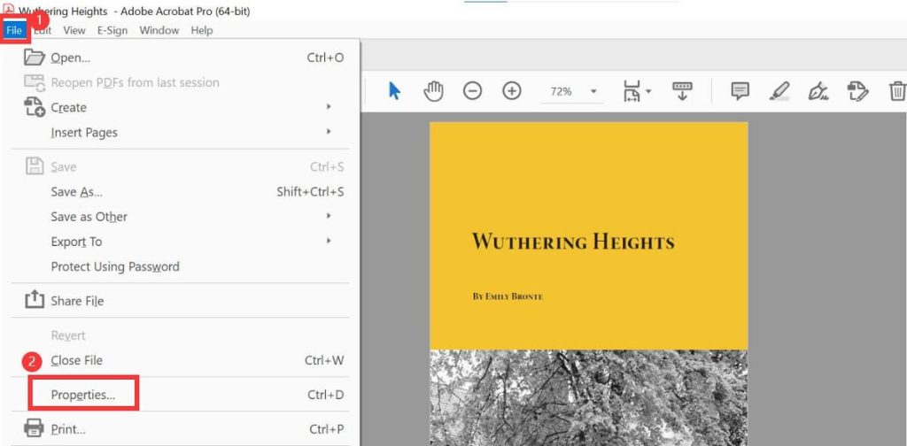 Open a PDF File in Adobe Acrobat