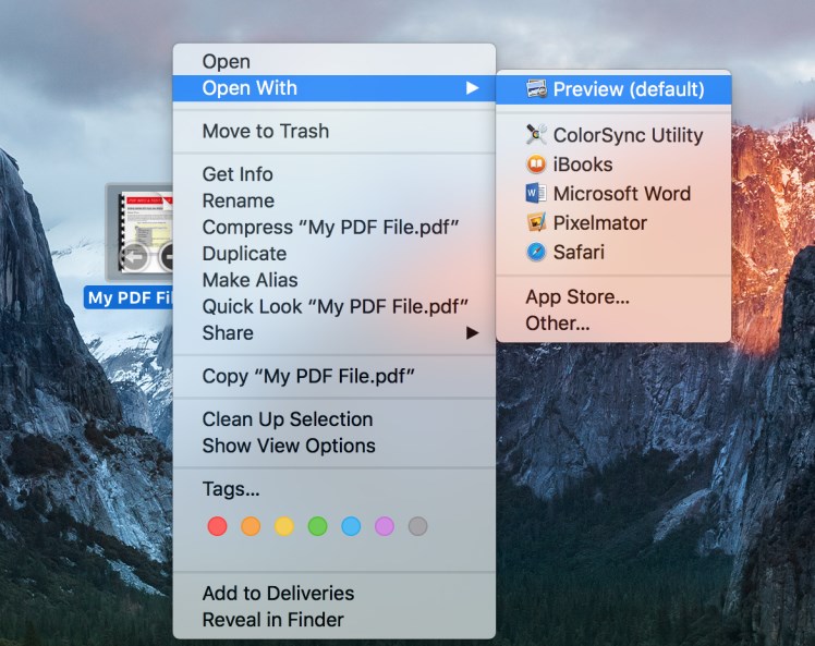 Open PDF with Preview Application