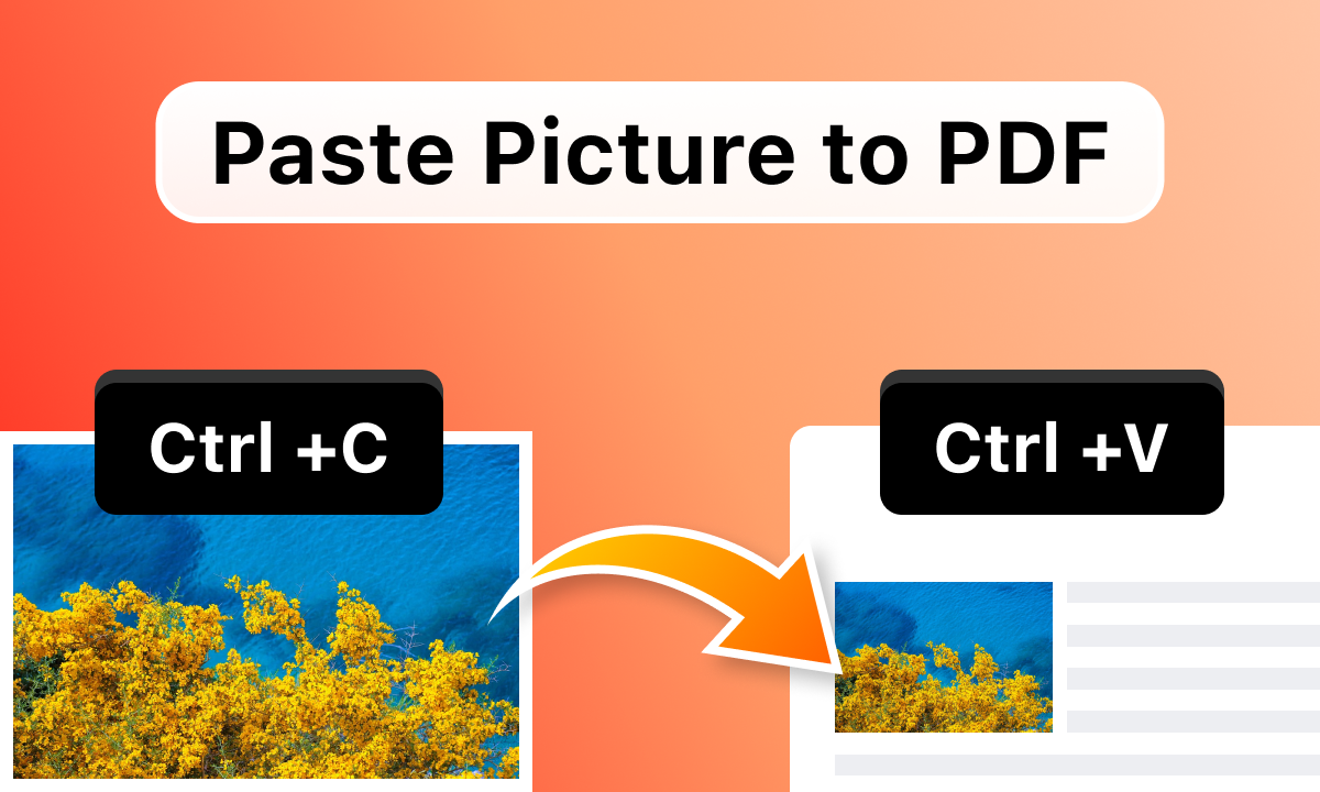 Paste Picture to PDF