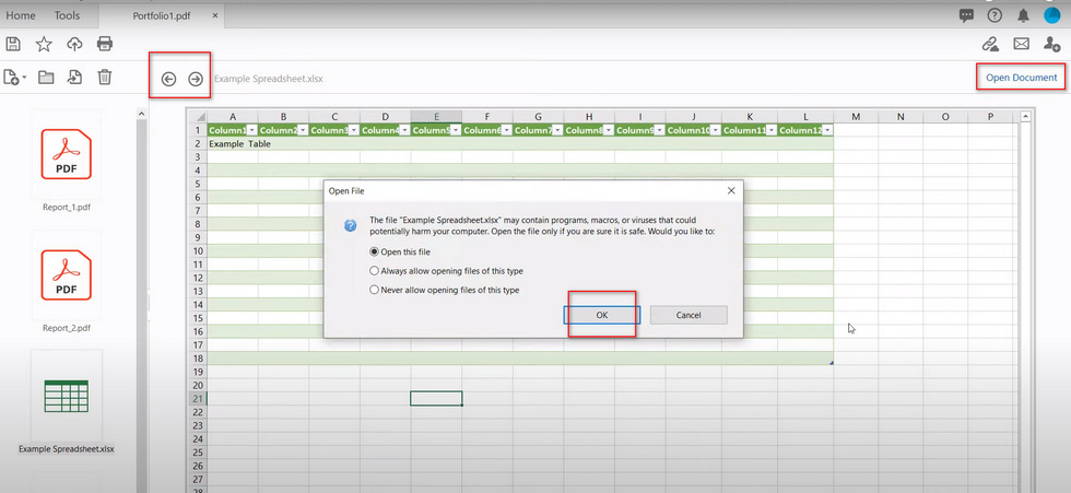Open and Preview the file in the PDF Portfolio