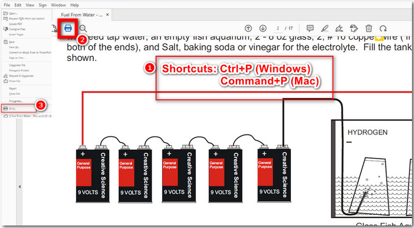 Bring up the Print Window on Adobe Acrobat